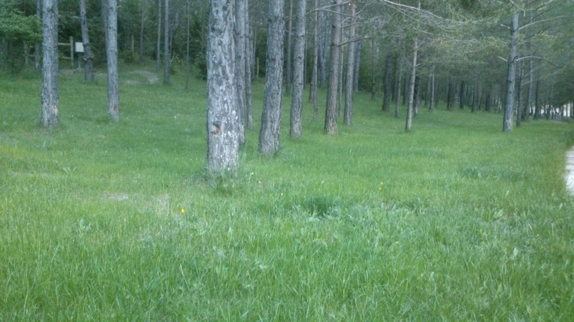 Camping L'Espelt Ла-Побла-де-Лильет Экстерьер фото